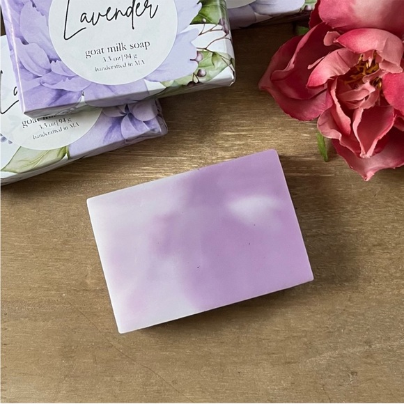 prudentplum LIVE!! - Picture 5 of 9